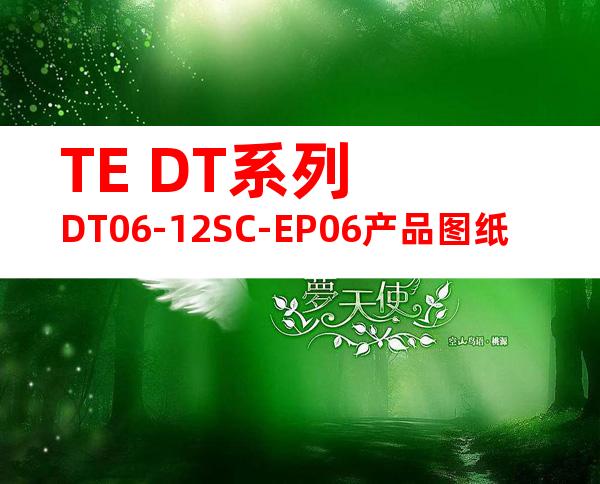 TE DT系列 DT06-12SC-EP06产品图纸
